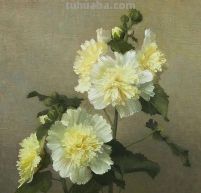 细腻优雅的花卉静物画 | Henrietta Smith - 图画吧TUHUABA