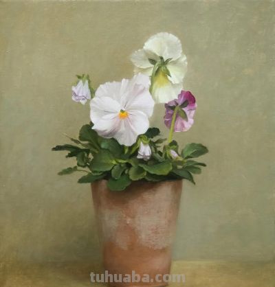 细腻优雅的花卉静物画 | Henrietta Smith - 图画吧TUHUABA