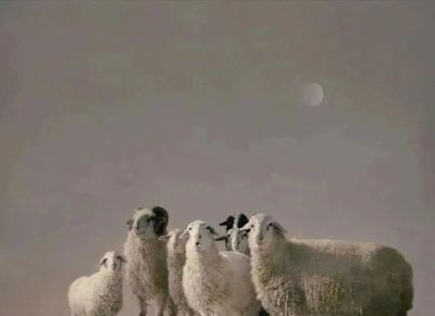国展完整看|2025·百家金陵画展（全部油画作品：100件） - 图画吧TUHUABA