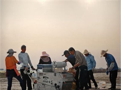 国展完整看|2025·百家金陵画展（全部油画作品：100件） - 图画吧TUHUABA