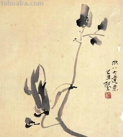 一个人的修行：杜小荃的艺术之路速写 - 图画吧TUHUABA