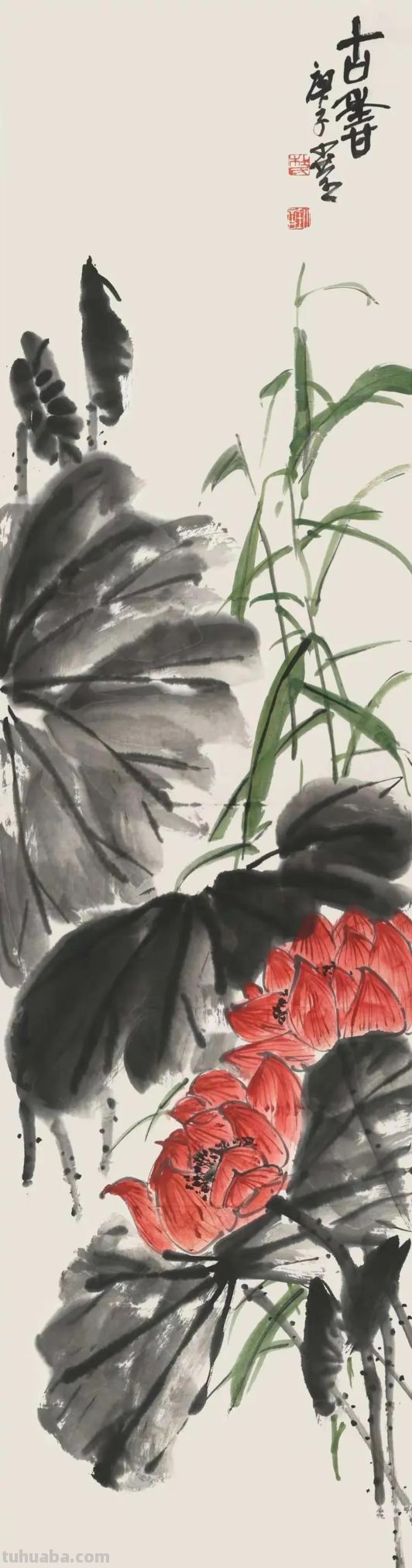 一个人的修行：杜小荃的艺术之路速写 - 图画吧TUHUABA