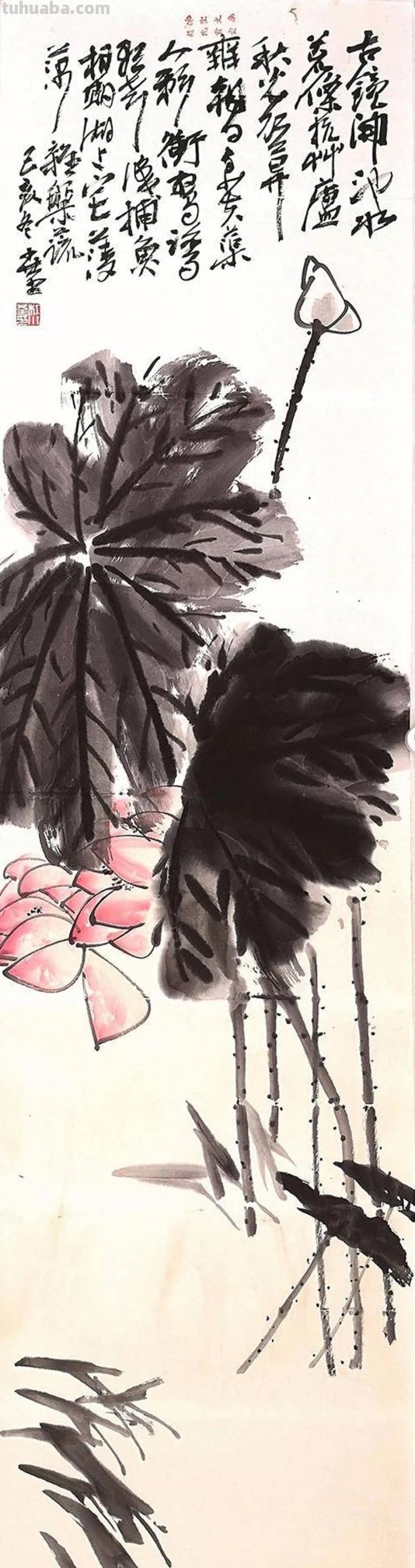 一个人的修行：杜小荃的艺术之路速写 - 图画吧TUHUABA