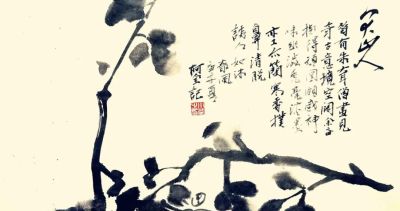 一个人的修行：杜小荃的艺术之路速写 - 图画吧TUHUABA