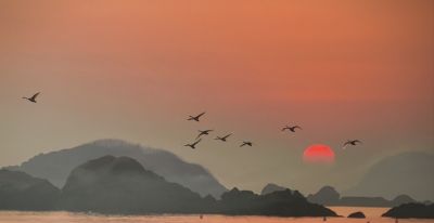 《极简摄影》干货：从身边景物+12个基本功，7天快速提升拍摄水平 - 今日头条