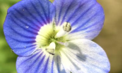 《极简摄影》干货：从身边景物+12个基本功，7天快速提升拍摄水平 - 图画吧TUHUABA