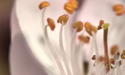 《极简摄影》干货：从身边景物+12个基本功，7天快速提升拍摄水平 - 图画吧TUHUABA