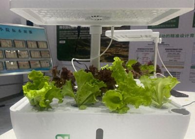 怀柔智慧农业科技小院研发的智能家庭种植机走进百个家庭 - 今日头条