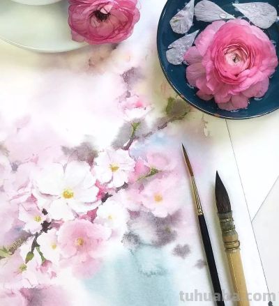 美哭的水彩画，感受春天的绚烂！ - 图画吧TUHUABA