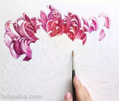 美哭的水彩画，感受春天的绚烂！ - 图画吧TUHUABA