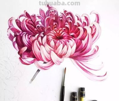 美哭的水彩画，感受春天的绚烂！ - 图画吧TUHUABA