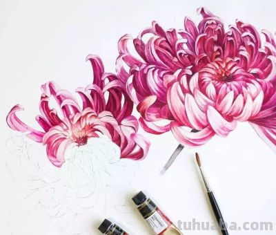 美哭的水彩画，感受春天的绚烂！ - 图画吧TUHUABA