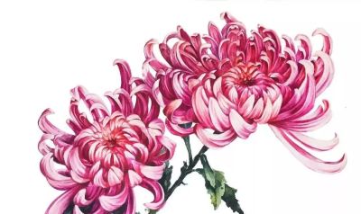 美哭的水彩画，感受春天的绚烂！ - 图画吧TUHUABA