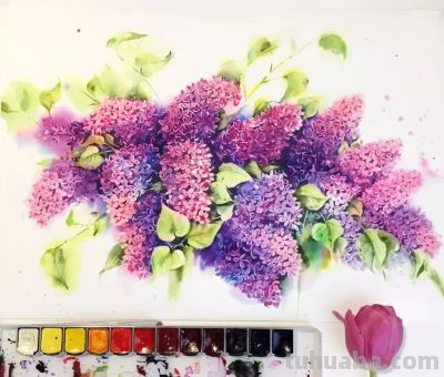美哭的水彩画，感受春天的绚烂！ - 图画吧TUHUABA