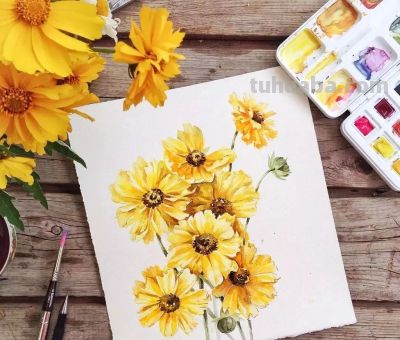 美哭的水彩画，感受春天的绚烂！ - 图画吧TUHUABA