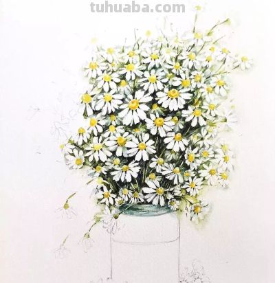 美哭的水彩画，感受春天的绚烂！ - 图画吧TUHUABA