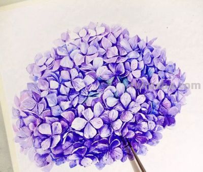 美哭的水彩画，感受春天的绚烂！ - 图画吧TUHUABA