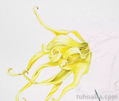 美哭的水彩画，感受春天的绚烂！ - 图画吧TUHUABA