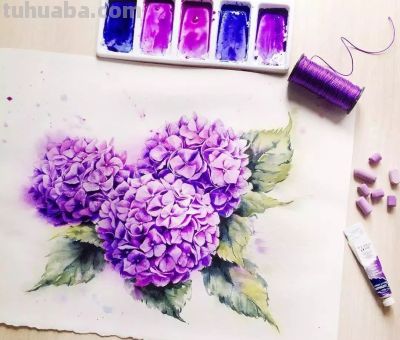 美哭的水彩画，感受春天的绚烂！ - 图画吧TUHUABA