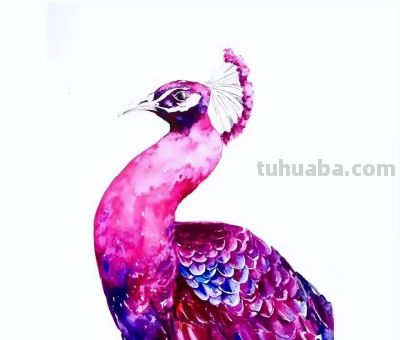 美哭的水彩画，感受春天的绚烂！ - 图画吧TUHUABA