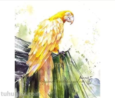 美哭的水彩画，感受春天的绚烂！ - 图画吧TUHUABA