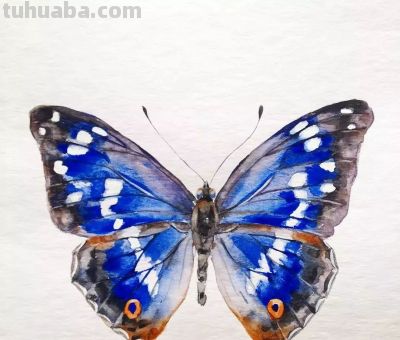 美哭的水彩画，感受春天的绚烂！ - 图画吧TUHUABA