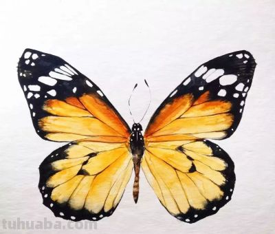 美哭的水彩画，感受春天的绚烂！ - 图画吧TUHUABA