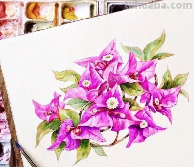 美哭的水彩画，感受春天的绚烂！ - 图画吧TUHUABA