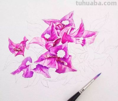 美哭的水彩画，感受春天的绚烂！ - 图画吧TUHUABA