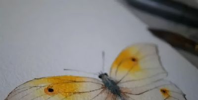 美哭的水彩画，感受春天的绚烂！ - 图画吧TUHUABA