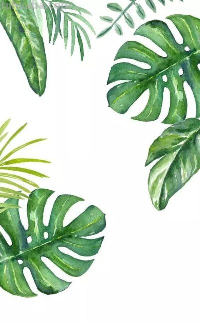 美哭的水彩画，感受春天的绚烂！ - 图画吧TUHUABA