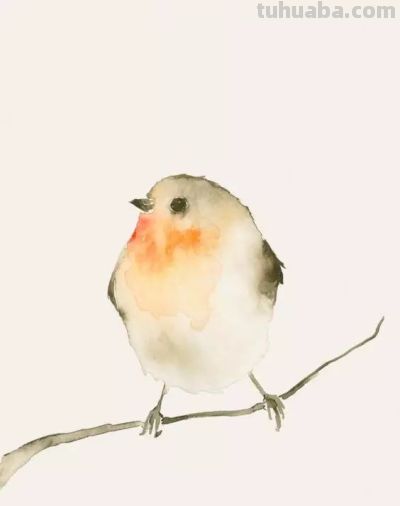 美哭的水彩画，感受春天的绚烂！ - 图画吧TUHUABA