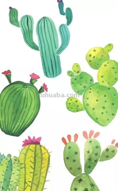 美哭的水彩画，感受春天的绚烂！ - 图画吧TUHUABA