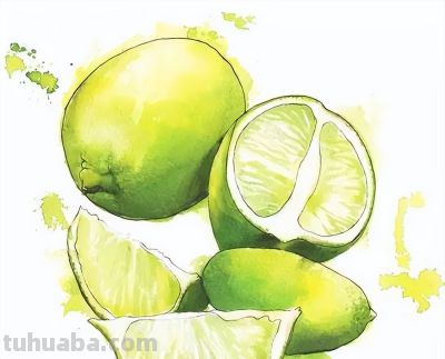 美哭的水彩画，感受春天的绚烂！ - 图画吧TUHUABA