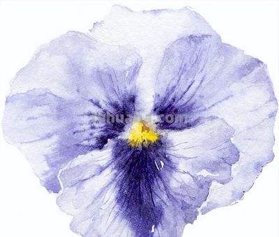 美哭的水彩画，感受春天的绚烂！ - 图画吧TUHUABA