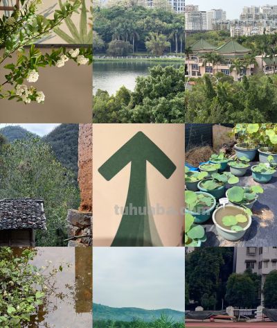 用“色彩漫步”打开春天 看“找颜色”如何治愈人心 - 今日头条