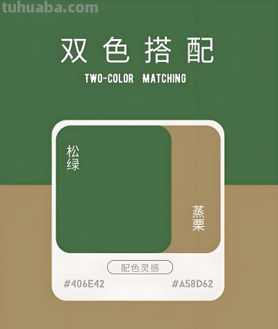 色彩搭配 | 春日5套绿色系配色，把高级感焊在身上 - 图画吧TUHUABA