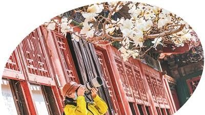 来一场Colorwalk，做一天“色彩旅人” - 今日头条