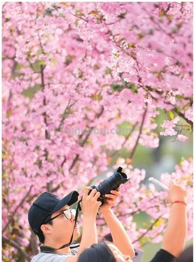 来一场Colorwalk，做一天“色彩旅人” - 图画吧TUHUABA