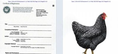 219家店铺被告！横斑岩鸡画作发起版权维权 案件号：26-cv-01715 - 图画吧TUHUABA