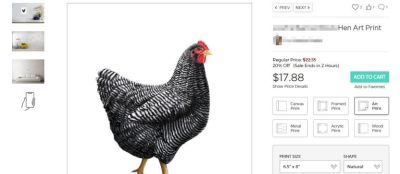 219家店铺被告！横斑岩鸡画作发起版权维权 案件号：26-cv-01715 - 图画吧TUHUABA