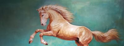 黄广亮油画作品 - 图画吧TUHUABA