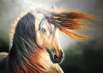 黄广亮油画作品 - 图画吧TUHUABA