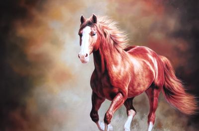 黄广亮油画作品 - 图画吧TUHUABA