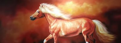 黄广亮油画作品 - 图画吧TUHUABA