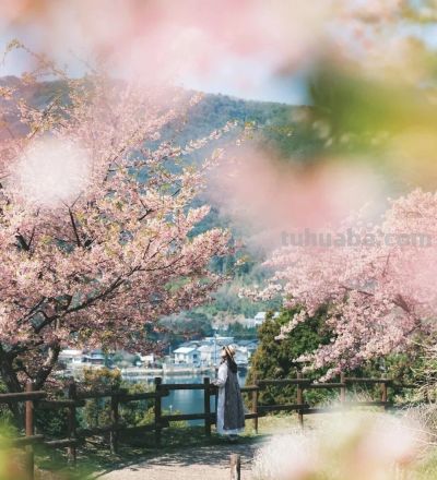 樱花季万能拍照技巧，轻松拍出高级感，粉嫩诗意有氛围 - 图画吧TUHUABA