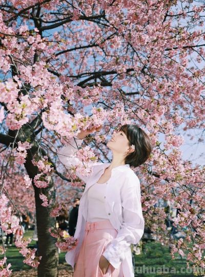 樱花季万能拍照技巧，轻松拍出高级感，粉嫩诗意有氛围 - 图画吧TUHUABA