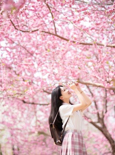 樱花季万能拍照技巧，轻松拍出高级感，粉嫩诗意有氛围 - 图画吧TUHUABA