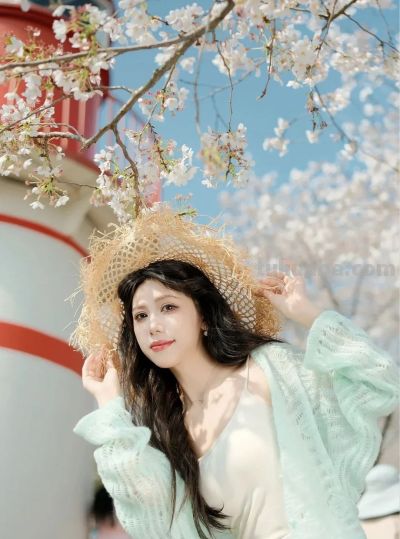 樱花季万能拍照技巧，轻松拍出高级感，粉嫩诗意有氛围 - 图画吧TUHUABA