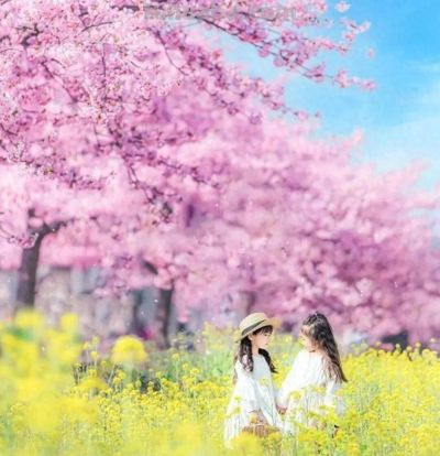 拍春天风景别乱拍！5个构图技巧，摄影新手也能拍出美景 - 今日头条